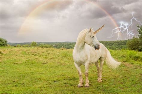 do unicorns really exist in remote areas of china